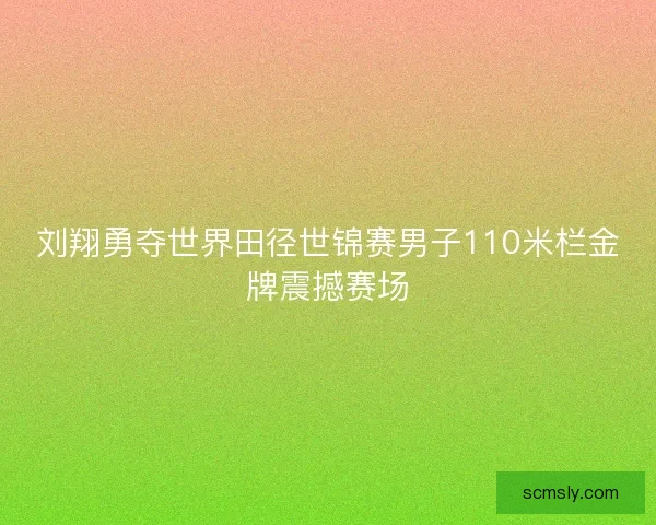 刘翔勇夺世界田径世锦赛男子110米栏金牌震撼赛场